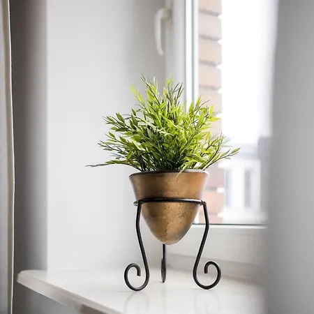 Apartamento Nadbystrzycka No.14 *