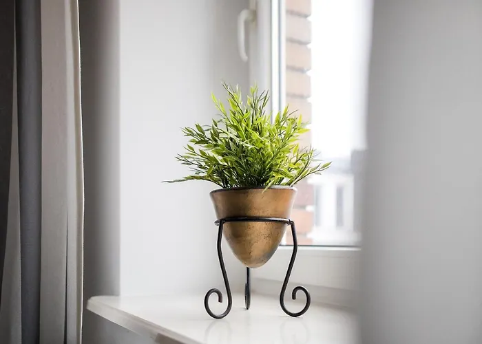 Apartment Nadbystrzycka No.14 *